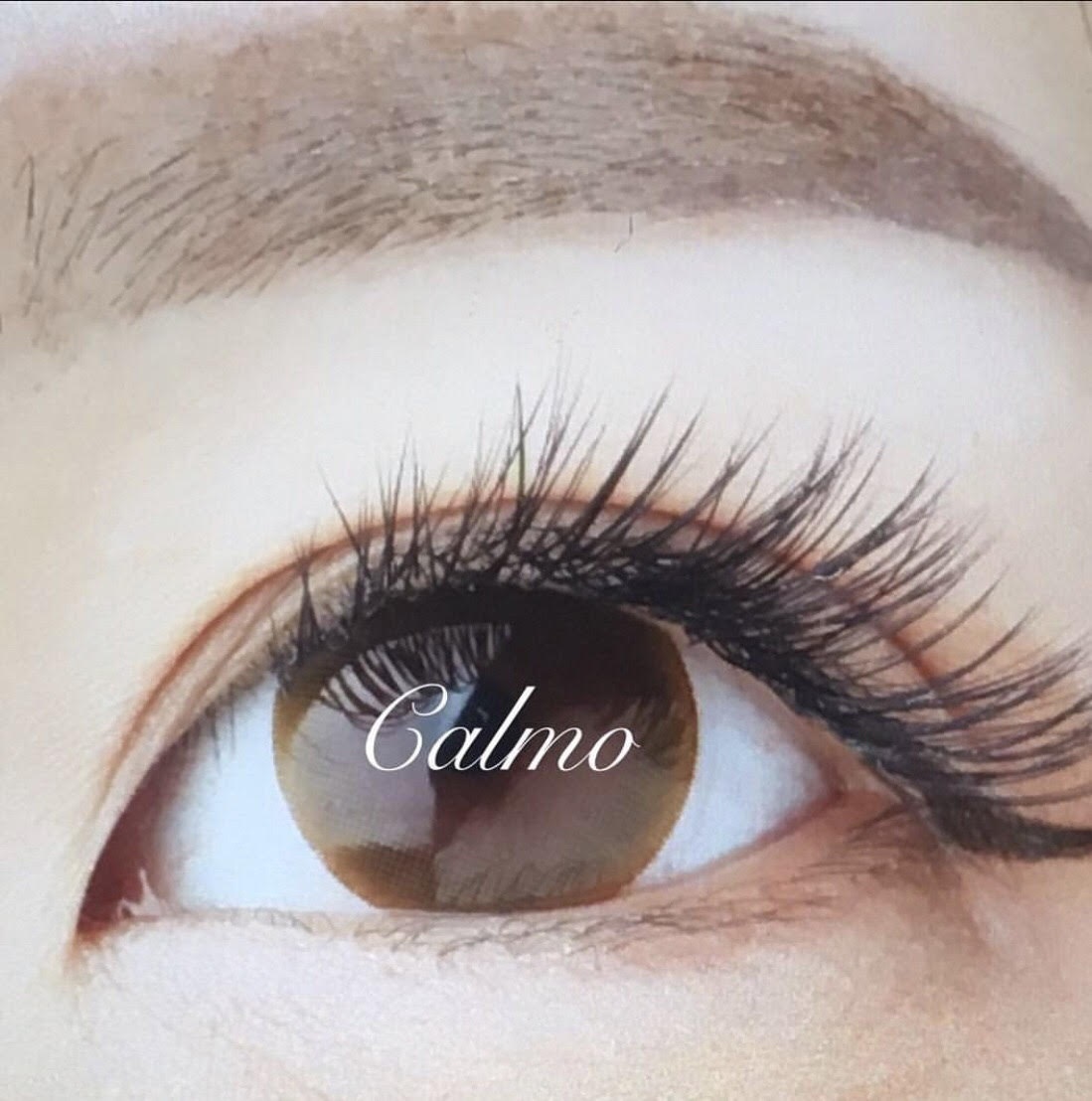 Eyelash salon Calmo